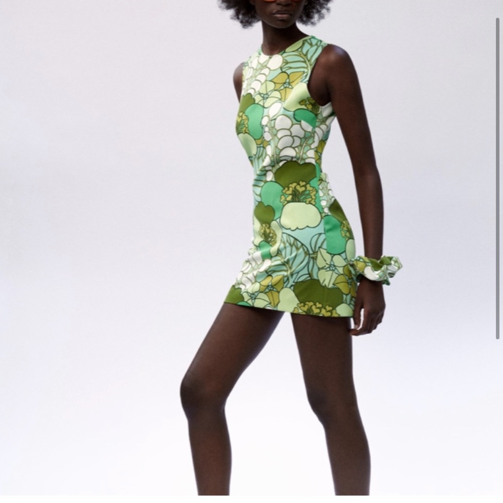 Zara dress